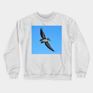 Pelican Flying High Crewneck Sweatshirt